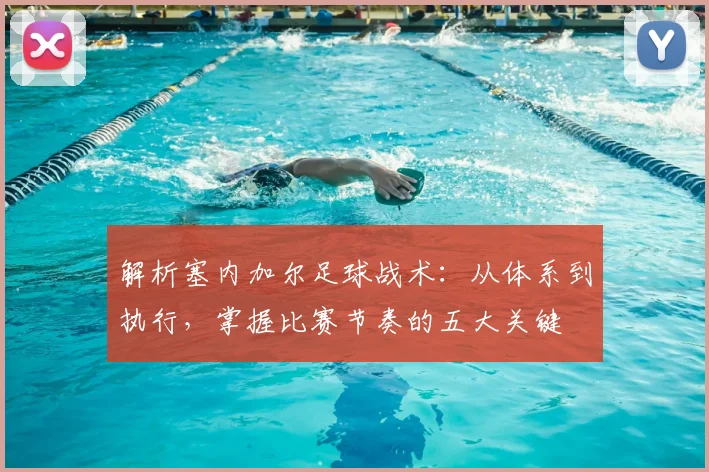 解析塞内加尔足球战术：从体系到执行，掌握比赛节奏的五大关键